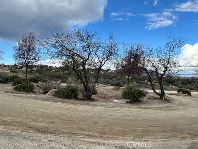 Community Street View