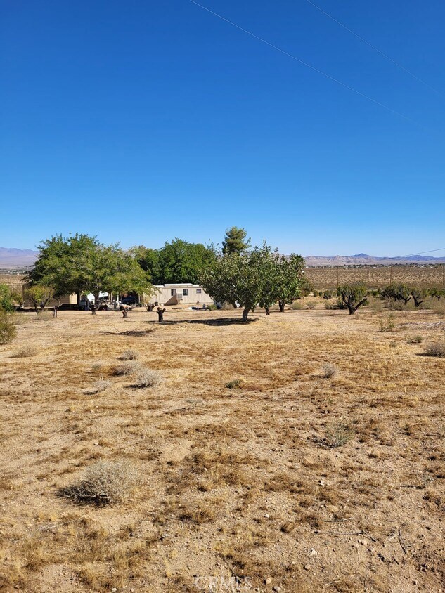 Detail Gallery Image 8 of 21 For 0 Midway, Lucerne Valley,  CA 92356 - – Beds | – Baths