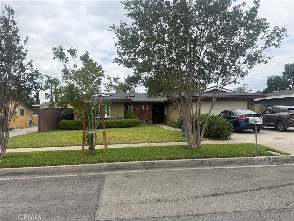 17637 Pinedale