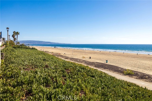 Detail Gallery Image 70 of 70 For 3603 Manhattan, Manhattan Beach,  CA 90266 - 3 Beds | 3/1 Baths