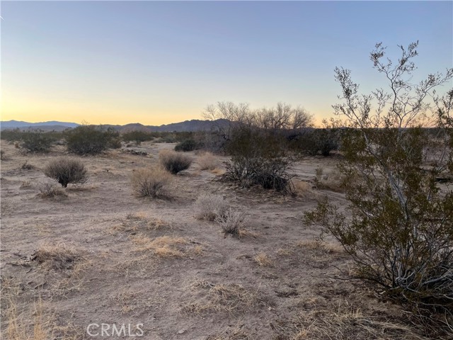 6186 Delaware, Joshua Tree, CA, 92252 6186 Delaware, Joshua Tree, CA, 92252