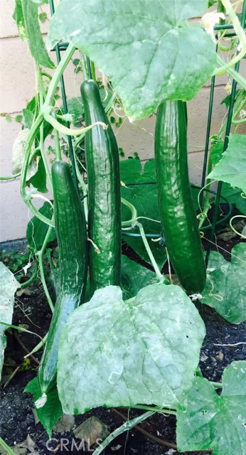 Detail Gallery Image 28 of 39 For Address Is Not Disclosed, Gardena,  CA 90249 - 5 Beds | 4 Baths