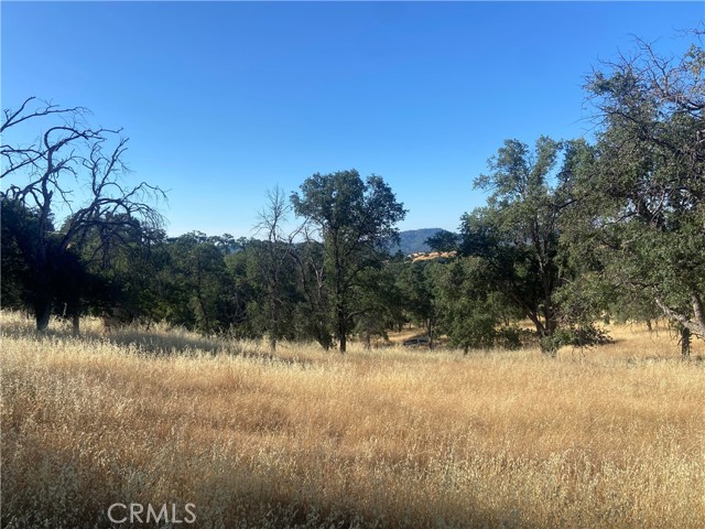 0 State Hwy 140, Mariposa CA: https://media.crmls.org/medias/a5a98f50-b5e1-4ac7-b4f3-b6f732fd227d.jpg