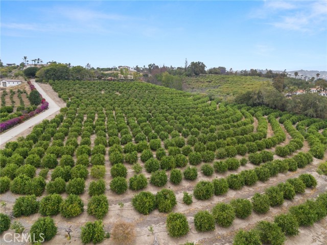 25 Encino Avenue, Camarillo CA: https://media.crmls.org/medias/a5aadc01-dbe1-4180-b845-4a4f4b9c61e4.jpg