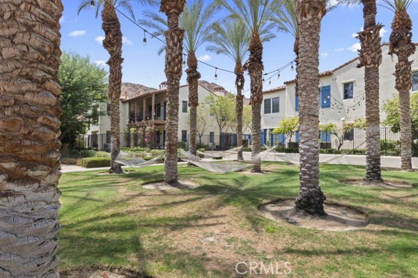 MLS #NP25169193 image #7