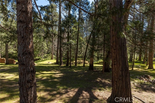Detail Gallery Image 48 of 71 For 36333 Finegold Creek, North Fork,  CA 93643 - 3 Beds | 2 Baths