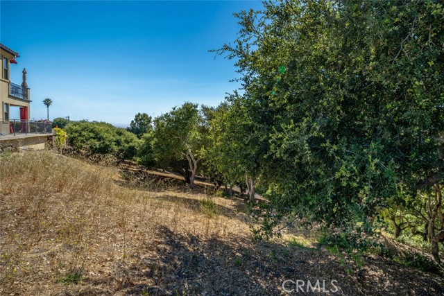 991 Visalia Street, Pismo Beach CA: https://media.crmls.org/medias/a5baef00-d996-44ae-9626-c17529fad311.jpg
