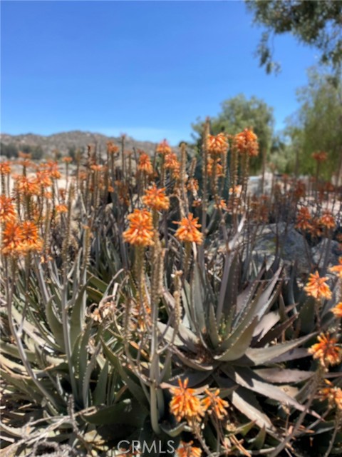 22910 Olivas Avenue, Nuevo CA: https://media.crmls.org/medias/a5baf21b-5508-4565-ad9c-45e01cd19866.jpg