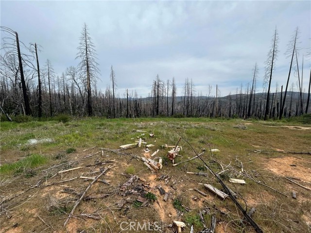 Detail Gallery Image 2 of 14 For 83 Oak Tree Lane, Berry Creek,  CA 95916 - – Beds | – Baths