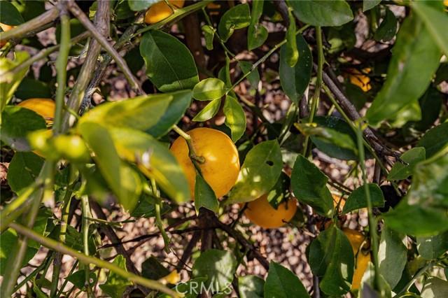 Detail Gallery Image 23 of 39 For 13381 Magnolia #35,  Corona,  CA 92879 - 2 Beds | 2 Baths