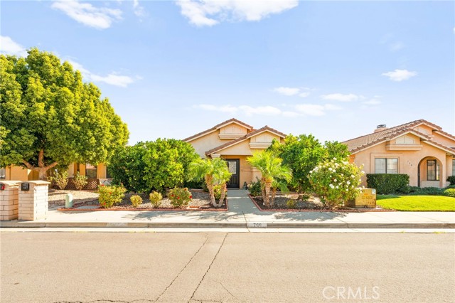 Detail Gallery Image 32 of 36 For 766 via Casitas, Hemet,  CA 92545 - 2 Beds | 2 Baths