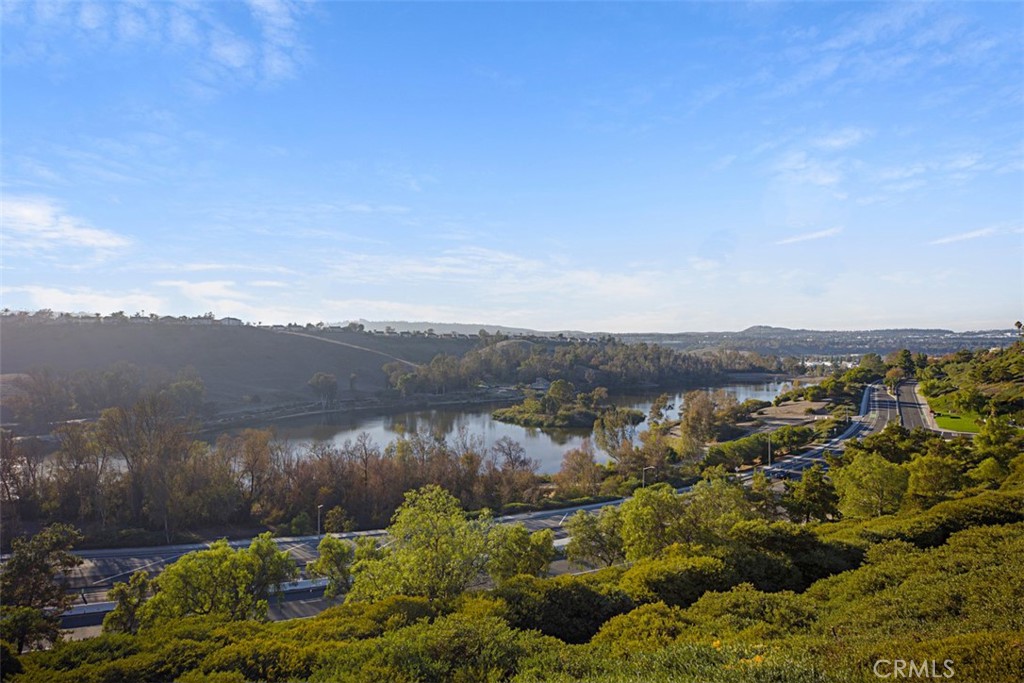 MLS #OC25254099 image #36