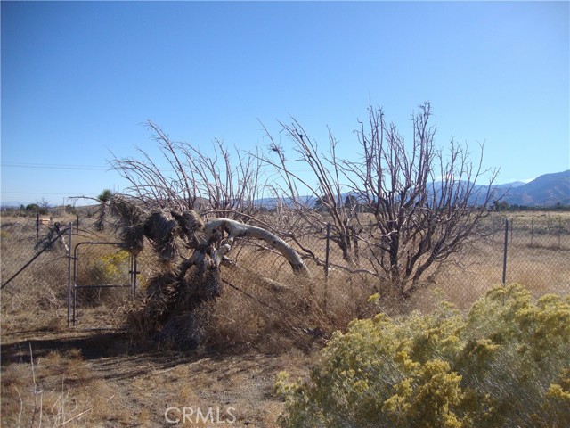 Detail Gallery Image 13 of 14 For 30306 104th St, Littlerock,  CA 93543 - – Beds | – Baths