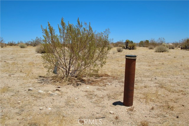 62254 Sunflower Road, Joshua Tree, California 92252, ,Land,For Sale,62254 Sunflower Road,CRJT24010220