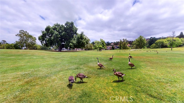 Detail Gallery Image 41 of 52 For 4632 Park Granada #93,  Calabasas,  CA 91302 - 3 Beds | 2 Baths