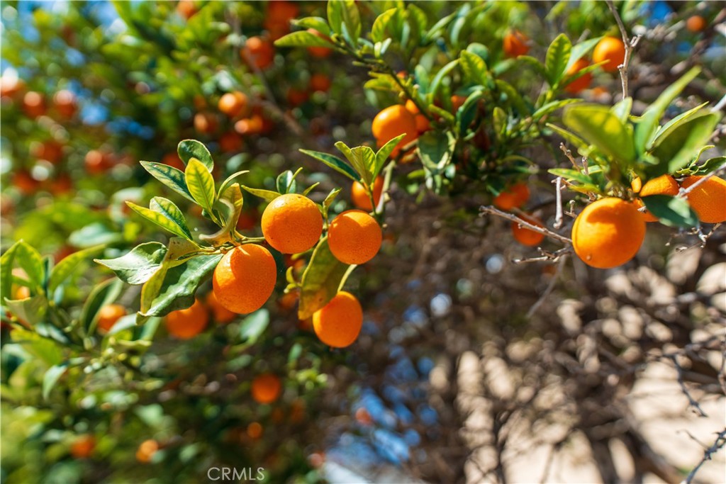 https://media.crmls.org/medias/a5cf22cb-6f93-43a9-ad6d-a619f89df458.jpg?preset=X-Large
