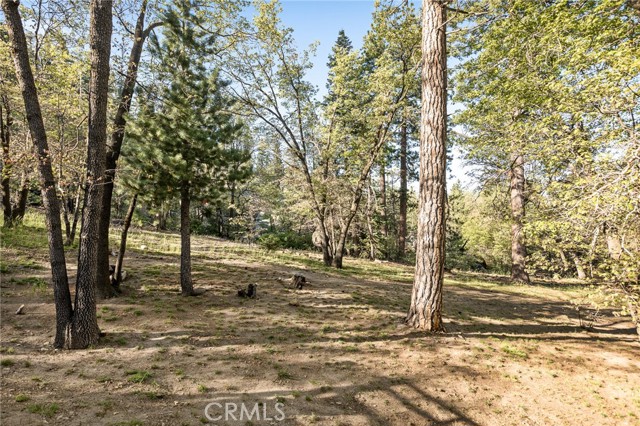33133 Ridge Road, Arrowbear CA: https://media.crmls.org/medias/a5d1aa58-0507-4e3e-8057-c7770d9d39ca.jpg