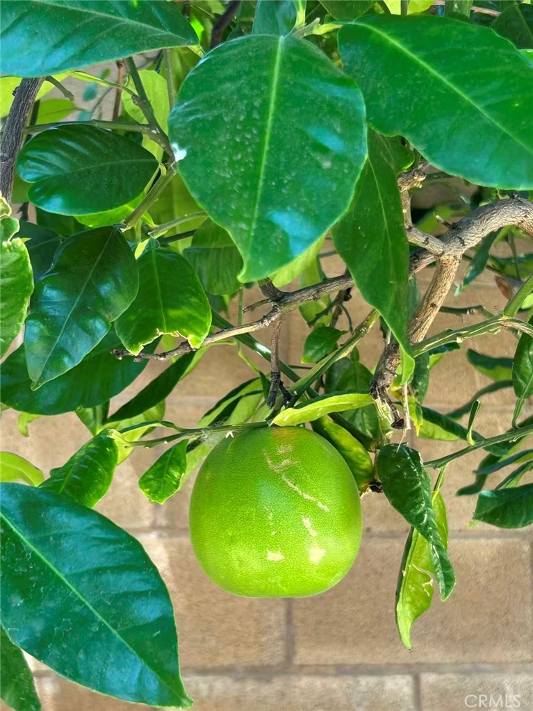 https://media.crmls.org/medias/a5d307d1-cf4b-4711-a52c-da38bc75b075.jpg?preset=X-Large