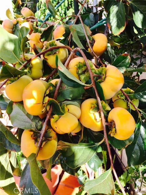 Detail Gallery Image 16 of 39 For Address Is Not Disclosed, Gardena,  CA 90249 - 5 Beds | 4 Baths