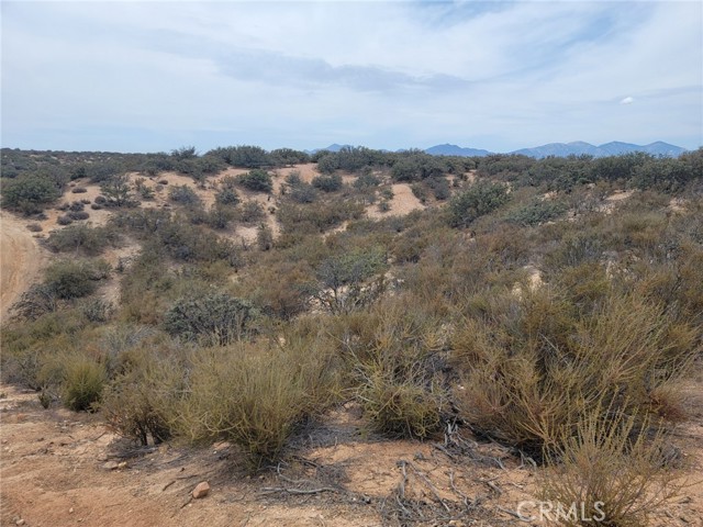 Detail Gallery Image 13 of 15 For 0 Daisy Road, Oak Hills,  CA 92344 - – Beds | – Baths