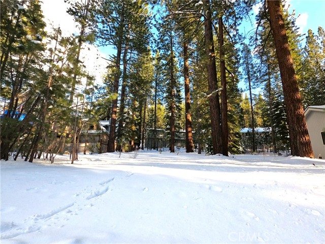 Detail Gallery Image 13 of 19 For 1662 Maiden Hair Ct, South Lake Tahoe,  CA 96150 - – Beds | – Baths