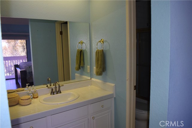Master vanity area