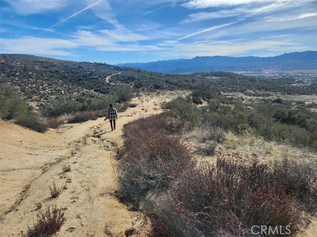 59775 Moonshine trail, Anza, California 92539, ,Land,For Sale,59775 Moonshine trail,CRIV24054377