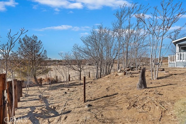 60500 Indian Paint Brush Road, Anza CA: https://media.crmls.org/medias/a5e69731-4992-4764-90e0-07794e305d69.jpg
