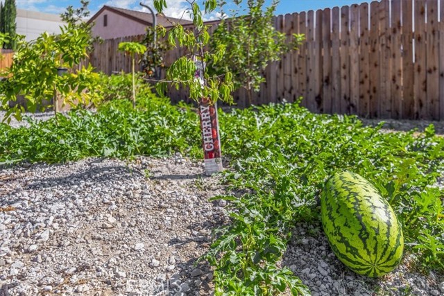 Detail Gallery Image 30 of 43 For 414 S Linden Ave, Rialto,  CA 92376 - 3 Beds | 2 Baths