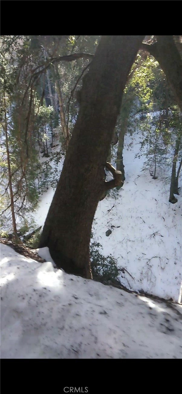 0 Saxon, Crestline CA: https://media.crmls.org/medias/a5ecd7aa-4d73-4945-adbd-643ca51f45c2.jpg