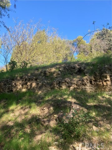 Detail Gallery Image 36 of 37 For 3633 Lavell Dr, Los Angeles,  CA 90065 - 1 Beds | 1 Baths