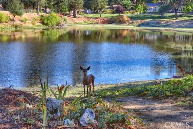 Detail Gallery Image 3 of 64 For 51250 Road 423, Oakhurst,  CA 93644 - 3 Beds | 2 Baths