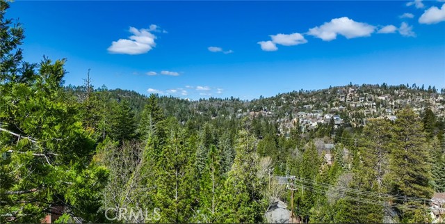 Detail Gallery Image 16 of 16 For 524 Pioneer Rd, Lake Arrowhead,  CA 92352 - 4 Beds | 2 Baths