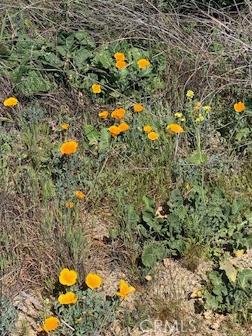 Detail Gallery Image 8 of 9 For 0 Inland, Aguanga,  CA 92536 - – Beds | – Baths