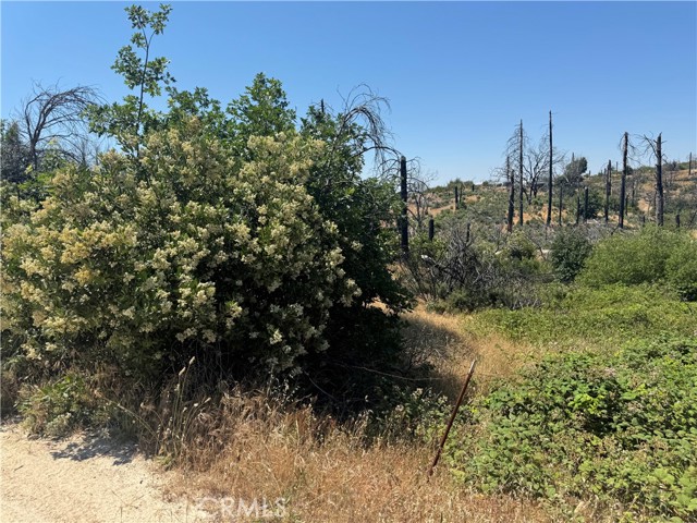 Detail Gallery Image 3 of 5 For 0 Sierra View, Berry Creek,  CA 95916 - – Beds | – Baths