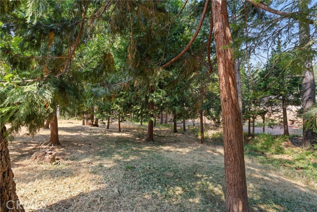 Detail Gallery Image 45 of 53 For 14047 Drexel Dr, Magalia,  CA 95954 - 3 Beds | 2 Baths