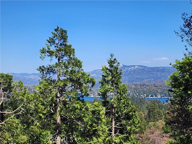 Detail Gallery Image 9 of 20 For 0 Pyramid Dr, Lake Arrowhead,  CA 92352 - – Beds | – Baths
