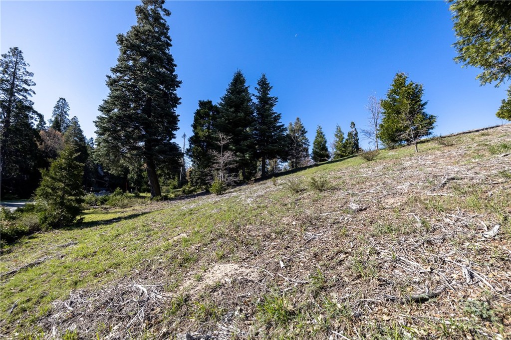 MLS #RW24172278 image #4