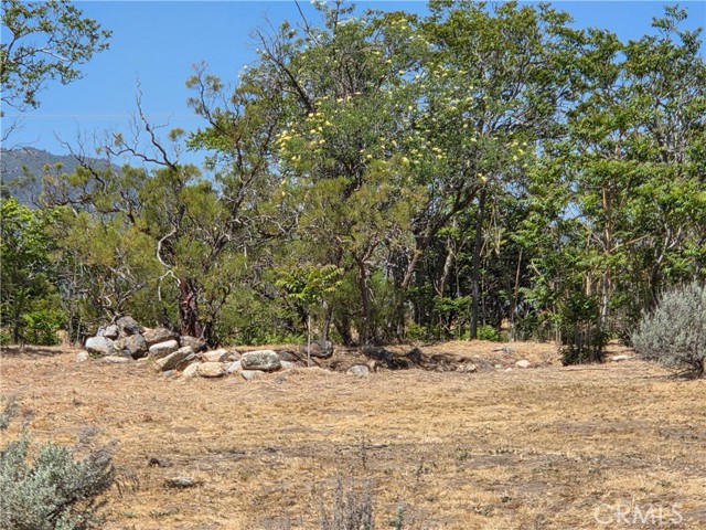 Front Image Thumbnail for CRSW26087315