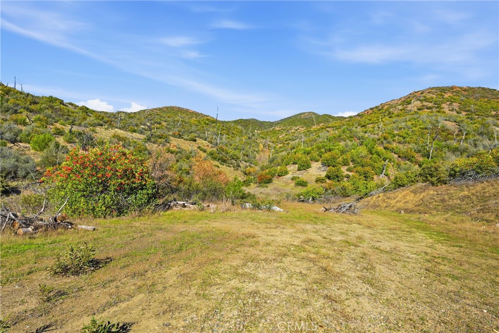 MLS #LC25273256 image #8