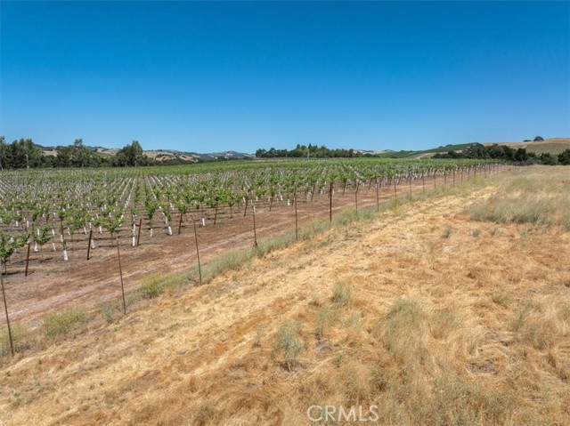 Detail Gallery Image 42 of 48 For 911 Wilmar Pl, Paso Robles,  CA 93446 - 3 Beds | 1 Baths