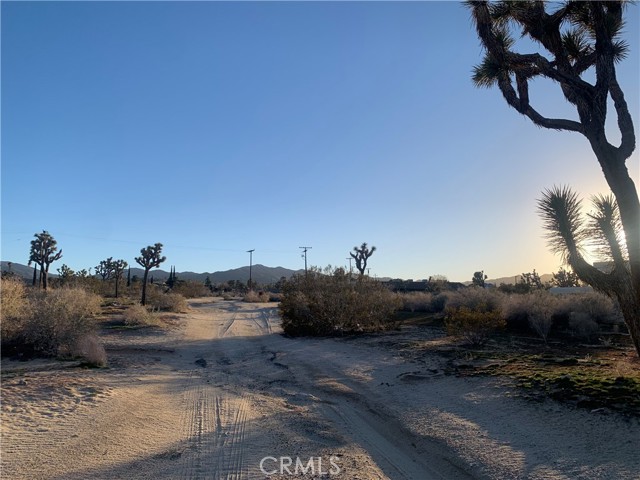 57335 Twentynine Palms, Yucca Valley, California 92284, ,Land,For Sale,57335 Twentynine Palms,CRNP23100972