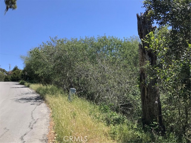 0 Hillcrest Drive, Cambria, California 93428, ,Land,For Sale,0 Hillcrest Drive,CRSC22073549