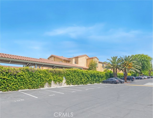 Detail Gallery Image 54 of 63 For 1066 N Orange St, Riverside,  CA 92501 - – Beds | – Baths