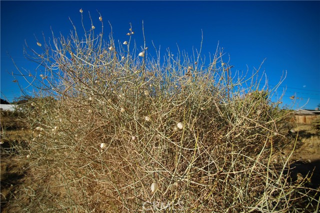 Detail Gallery Image 16 of 20 For 60255 Natoma Trl, Joshua Tree,  CA 92252 - – Beds | – Baths