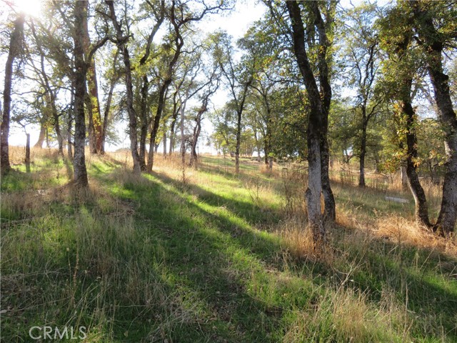 Detail Gallery Image 12 of 33 For 3465 Foothill Bld, Oroville,  CA 95966 - – Beds | – Baths