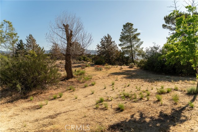 Detail Gallery Image 68 of 71 For 61826 Spanish Dagger Ln, Anza,  CA 92539 - 2 Beds | 2 Baths