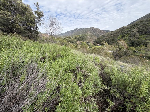 Detail Gallery Image 16 of 16 For 0 Ladd Canyon, Silverado,  CA 92676 - – Beds | – Baths