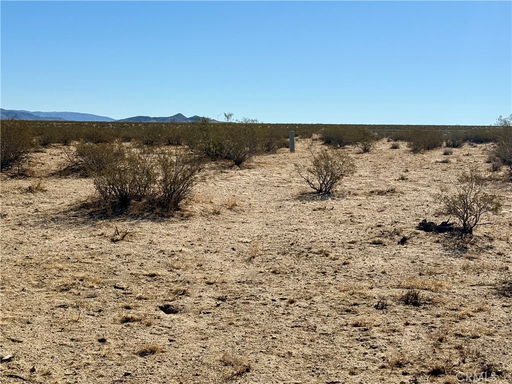 MLS #JT25208342 image #17