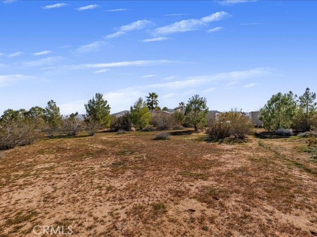 Detail Gallery Image 43 of 71 For 60208 Aberdeen, Joshua Tree,  CA 92252 - 3 Beds | 2/1 Baths